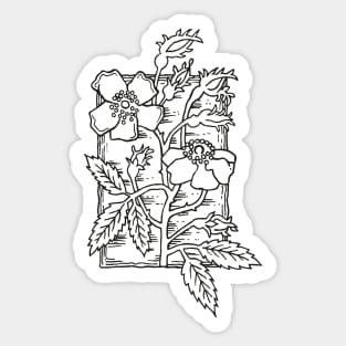 Muske Rose, vintage style stamp print Sticker